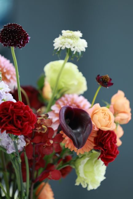 A vibrant floral arrangement featuring a mix of fresh flowers including deep red carnations, pale peach roses, dark burgundy calla lilies, white and light green scabiosa, and small burgundy alliums, a