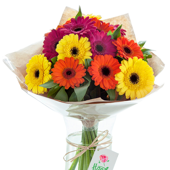 A kaleidoscope of Gerbera daisies, each bloom radiant and expertly placed, fills a clear glass vase set against a pure white backdrop. This striking arrangement, prepared by White City's skilled florists, features an abundant mix of bold yellow, intense orange, and royal fuchsia blossoms, all boasting their signature dark centers that stand out dramatically amidst the saturated petals. Nestled amongst the flowers, fresh green foliage introduces lively texture and depth, reminiscent of the leafy avenues and community gardens of White City. The upper half of the bouquet is elegantly wrapped in understated brown kraft paper, lending an organic quality and tactile charm to the composition. An additional layer of transparent, gently crinkled cellophane flares outward-offering both protection and a pleasing shimmer beneath the studio lighting. Through the curved glass vase, straight green stems are visible, resting in a bath of clear water to preserve the bouquet's dynamism. Fastened with a neatly knotted twine bow, a petite white gift tag adorned with a simple red rose logo hangs with grace, hinting at the artisan pride behind the arrangement. Whether destined to brighten a contemporary apartment on South Africa Road, commemorate a joyful occasion, or simply elevate home decor, this vibrant bouquet tells the story of local artistry and the spirit of celebration so intrinsic to White City.