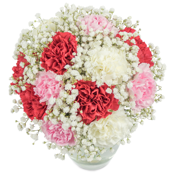 A lush bouquet brimming with carnations-deep scarlet, gentle pink, and milky white-rests in a clear, round glass vase, radiating the energy of White City's local gardens and greenways. The carnations' textured, ruffled petals overlap in a dense and harmonious display, forming a near-perfect sphere that is artfully interspersed with the airy, cloud-like sprigs of white baby's breath (Gypsophila). The arrangement's stems are visible through the vase, grounded and fresh as if just selected from a White City market. The bouquet is captured from overhead in vivid lighting that intensifies the colours against a snowy background, revealing each bloom's delicate charm. It's an arrangement that speaks of classic sentiments-love, appreciation, admiration-making it equally suited for heartfelt gifts, celebrations, or thoughtful moments along South Africa Road. Its design brings a sense of celebration and enduring appeal, serving as an elegant expression for every occasion in the White City area.