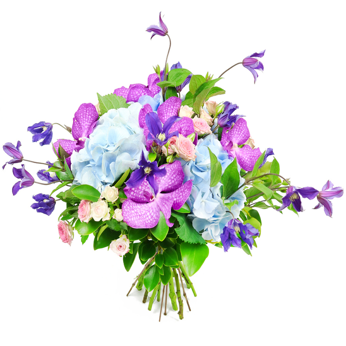 Photographed against a clean, white backdrop, this bouquet showcases a cool, sophisticated palette that feels at home in the stylish new developments and classic streets around White City. The main body of the arrangement is built from generous clusters of sky-blue hydrangeas, their countless petals overlapping to form large, rounded blooms with a plush, almost cloudlike surface. These hydrangea heads create a calm, expansive base that invites the eye to wander. Piercing through the blue softness are vivid orchids in shades of fuchsia and deep purple, presumably Vanda or Phalaenopsis, their broad, slightly glossy petals patterned with delicate speckling and fine venation that speaks of exotic origins and meticulous selection. Adding lift and gentle movement, several stems of rich purple clematis extend above and beyond the main dome of the bouquet, their star and bell-shaped flowers on slender stems lending a graceful, climbing-garden character, like the vertical lines of trellises and railings near nearby Holland Park or Goldhawk Road. Nestled between these statement blooms are petite spray roses in romantic blush pink and creamy white, their compact buds and tiny open rosettes bringing a soft, intimate charm and the impression of a faint, sweet scent. Enveloping this mixed cluster of blooms is an abundance of green foliage, mixing broad, glossy leaves with finer, more textural greenery that frames the colours and adds depth, making the bouquet look abundantly fresh. The stems are carefully gathered and tied, revealing a hand-tied construction typical of an experienced local florist preparing designs for weddings, anniversaries, or chic home deliveries across White City and W12. Gentle, even lighting sets off the subtle shadows and highlights, showing the natural textures of each petal and leaf. The bouquet feels poised yet inviting, ideal for a coffee table in a modern flat or as a photographic illustration for articles on luxury flowers and West London floristry.