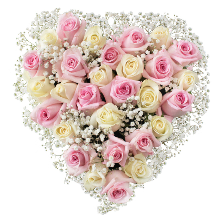 Perfectly embodying the heartfelt traditions of White City, this lush heart-shaped floral display stands as an emblem of timeless love, remembrance, and celebration. Approximately 30 to 35 roses in whisper-soft shades of pink and creamy white are densely gathered, each flower chosen for its graceful form and petal texture: some roses, tightly furled, evoke innocence, while others, fully opened, share all their velvety detail and gentle fragrance. Threaded through the mass of roses are airy clusters of snow white baby's breath, their minute blossoms creating a luminous, cloud-like aura that uplifts the whole presentation. The flawless heart form, carefully shaped by skilled local florists, sends a message of compassion and warmth, suited equally for tender farewells or commemorating cherished anniversaries and milestones across White City and neighbouring Shepherd's Bush. Enhanced by luminous, even lighting, the bouquet's soft pastel palette stands out vividly against a pure white setting, allowing every detail to unfold in crisp clarity. This arrangement not only communicates artistry and local flair but also creates a serene, inviting mood-an ideal centerpiece for times when floral art must speak profound volumes in support, gratitude, or loving remembrance.