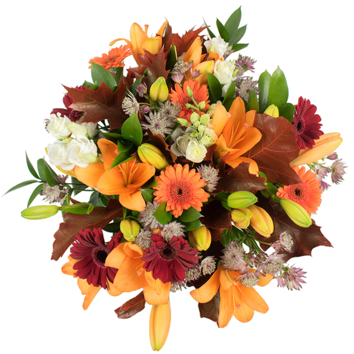 A lush, elevated view of a tightly gathered autumn arrangement, its textures and colours rendered with crisp clarity against a white studio field. Prominent orange Asiatic lilies take centre stage, their broad, satiny petals curving outward to reveal elegant throats and the promise of more flowering in the many closely held buds peppered throughout. Interleaved with these are cheerful Gerbera daisies in saturated pumpkin orange and a complementary deep burgundy-red, each bloom's radiating petals offering bright, circular geometry that enlivens the bouquet. Cream-coloured lisianthus - soft, ruffled and layered - nestle in pockets to temper the palette with gentle highlights, while clusters of grey-lilac Astrantia bring a fine, star-shaped texture that lightens the visual weight and introduces a refined, almost skeletal lace. Large, rusty-chestnut leaves with clear lobed margins are strategically placed to suggest autumnal fallen foliage, their warm, earthy tones bridging the brighter florals and the green supporting foliage. Glossy leaves and slender stems trace subtle lines through the massed flowers, providing structure and a fresh contrast that keeps the composition lively rather than heavy. The arrangement's dense, rounded form reads as abundant and celebratory, conjuring harvest-time tables and cosy gatherings around the BBC Television Centre or a Shepherd's Bush dinner. Under bright, even illumination the colours saturate vividly, and the bouquet exudes a soft, honeyed floral fragrance with an underpinning of woodland cool - a seasonally fitting choice for Thanksgiving-style centrepieces, birthday gifts in autumn, or a warm, home-delivered surprise to White City neighbours.