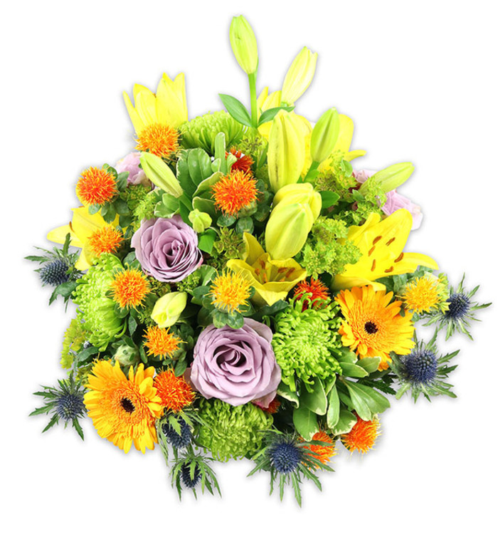 A vibrant, densely layered floral composition photographed against a stark white background so every colour and texture is clearly visible. The piece is structured as a low mound with vertical emphasis from several yellow Asiatic lilies - some open wide to reveal their speckled throats and stamens, others held as tapered buds that lift the eye upward. Two or three soft lavender-purple roses sit near the centre, their quietly fragrant, spiralled petals offering a calming focal point amid the livelier hues. Bright orange Gerbera daisies, with their broad, ray-like petals circling darker centres, scatter warmth through the arrangement while lime-green 'button' chrysanthemums provide a ruffled, dense underlayer that reads almost like living moss. Smaller spherical accents in vivid orange and golden yellow-reminiscent of Billy Buttons or small craspedia-like blooms-pepper the design and introduce playful texture. Distinctive blue-grey Eryngium thistles are placed around the lower and side edges, their star-shaped bracts and spiky form creating a cool, architectural contrast that grounds the warmer tones. An assortment of glossy and matte foliage, from broad lily leaves to small filler sprigs, unifies the palette and adds depth. The lighting emphasises petal texture and the arrangement's careful spacing, conveying both generosity and restraint. This bouquet reads as celebratory and versatile: suitable for congratulatory gifts, house-warming tables, or as an uplifting sympathy gesture delivered across White City, Shepherd's Bush, or nearby Latimer Road.