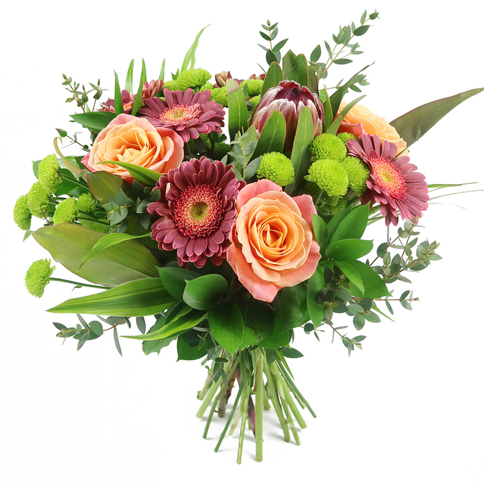This image shows a beautifully composed, hand-tied bouquet photographed against a smooth white background, making each flower appear vivid and distinct, as if freshly arranged in a local White City workshop. The main impression is of warmth and abundance, led by large, softly glowing roses in shades of peach, apricot, and salmon pink. Their petals are layered in generous spirals, some blooms more tightly furled, others fully open, revealing intricate gradients from pale, creamy outer edges to deeper, sunset-like centres. Threaded between these roses are bold gerbera daisies in tones of deep fuchsia and burgundy, their fine, elongated petals radiating around textured centres that transition from darker cores to lighter inner rings, adding depth and a slightly playful sophistication. Near the upper half of the bouquet, a standout King Protea claims attention, its architectural, artichoke-like structure tinged with reddish-brown and mauve-pink, the pointed tips subtly flushed with blush, lending an exotic note that contrasts with the familiar garden feel of the roses and gerberas. Clusters of lime-green Santini chrysanthemums are scattered throughout the design, their compact, pom-pom heads providing bright, zesty highlights and a tactile, almost cushion-like texture. Surrounding the blooms is a generous array of foliage: broad, glossy dark green leaves create a solid base, long, variegated blades add height and movement, and trailing sprigs of eucalyptus with rounded, bluish-green leaves soften the edges and suggest a gentle, calming fragrance, like fresh air drifting across nearby Wormholt Park. The stems are neatly gathered and tied at the base, clearly visible, signalling a freshly made, hand-tied bouquet ready to be delivered across White City and the surrounding W12 streets for occasions ranging from birthdays and congratulations to heartfelt thank-you gestures.